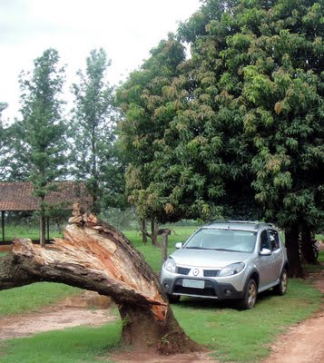 Impressões: o aventureiro urbano Renault Sandero Stepway