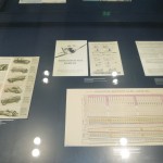 BMW Museum – Renato Parizzi