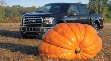 Ford-F150-abobora-gigante-Halloween-picape