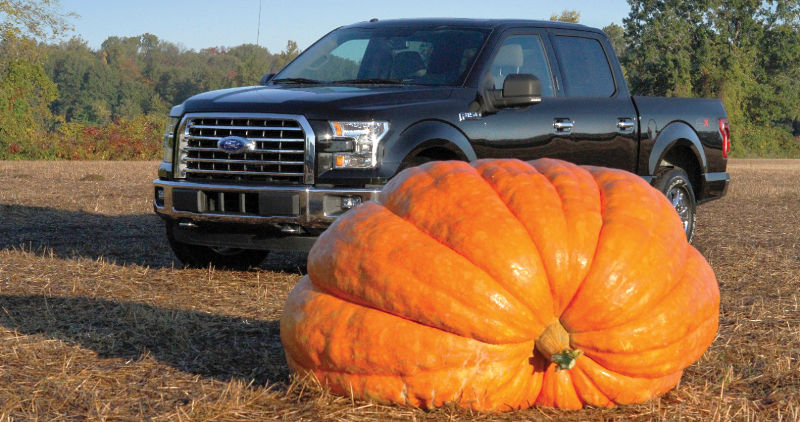 Ford-F150-abobora-gigante-Halloween-picape