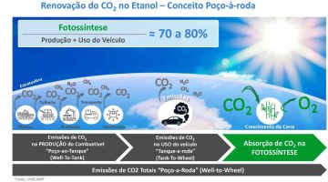 Gráfico da importância do etanol
